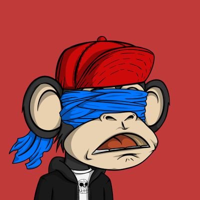 Alejando2495's profile picture. 