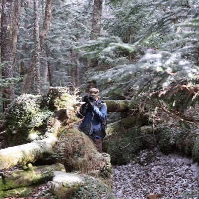 dai0606jp's profile picture. 