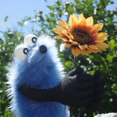 fushaemon's profile picture. 料理下手でズボラで遊ぶ事大好きで一生懸命なおかん🦭
