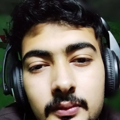 bigboybihari's profile picture. Cracked Dev looking for next job
Non-resident Bihari. 
zig,rust,python,financial markets,maths