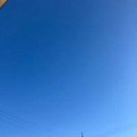 さくらんぼ (@heo4rtncrd5095) 's Twitter Profile