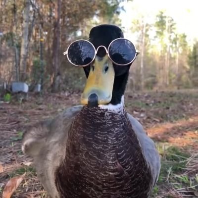 | Shitpost & bikepacking
| Za wolność naszą i waszą