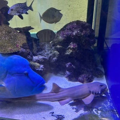 eEA8u8ysIWe6GsT's profile picture. #財務省 #自民党解体ええじゃないか