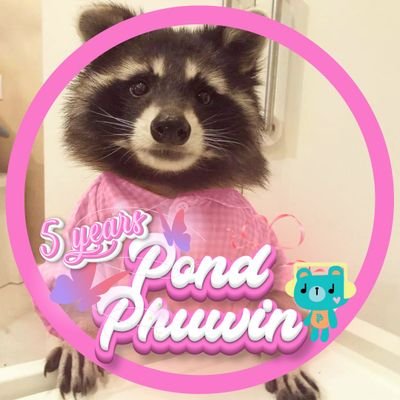100% Personal Account 😁👍🏻
| 2PM OffGun KristGun TayNew PluemChimon OhmSingto PodEarth BKPP PondPhuwin |