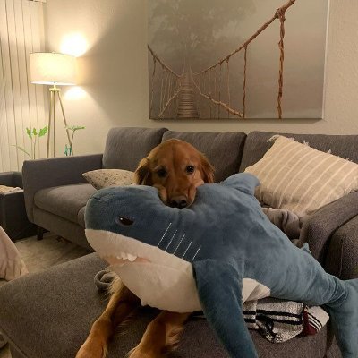 giao_han47835's profile picture. 