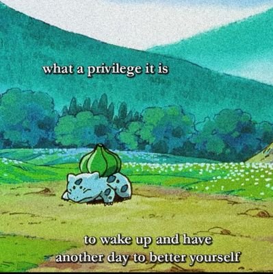trenchmonkey96's profile picture. Head Trader at Cabbage Corp