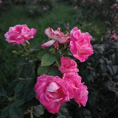 Avadh88328's profile picture. 