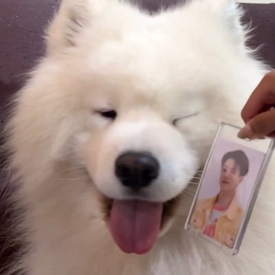 meowpeachisu's profile picture. #meowpeachรีวิว