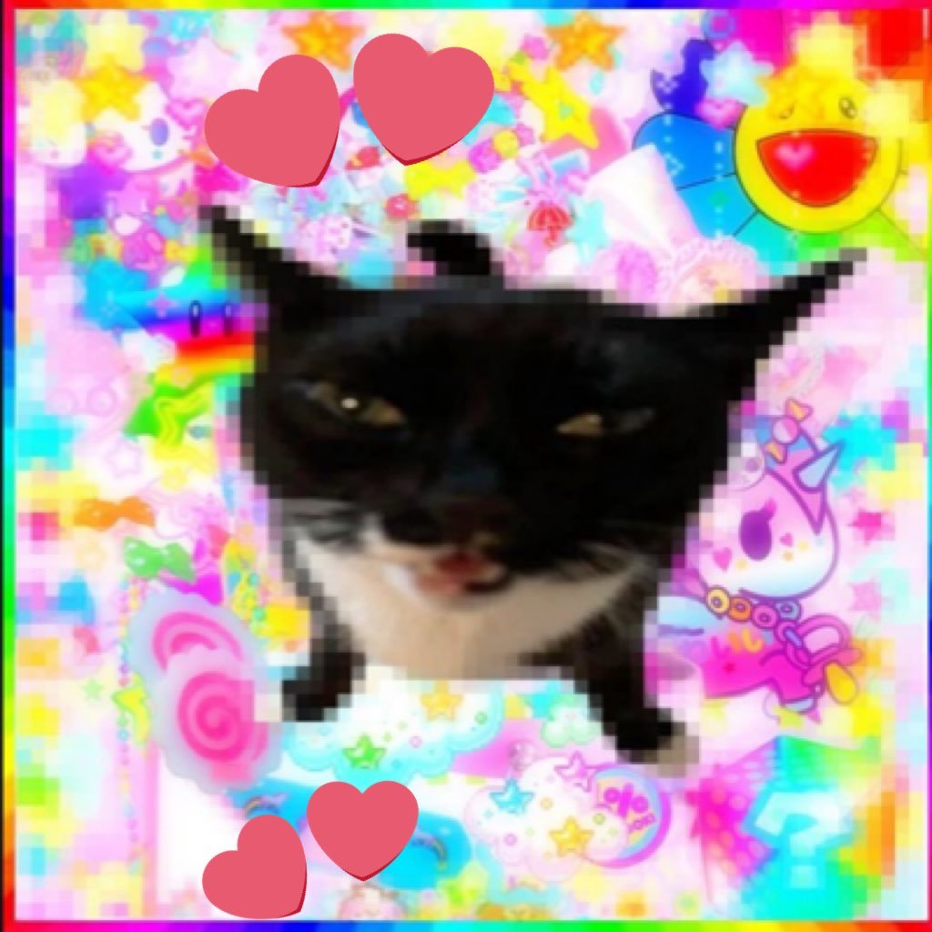 @jdusjzb