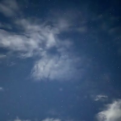 senpan_shinamon's profile picture. 난 누구？ 모르겠당