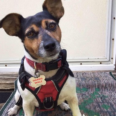 ardnasbook's profile picture. 