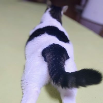 rikui225's profile picture. いろいろトレード

好き☆食べ歩き・心理学
特技☆リサーチ・交渉事

株の儲けは忍耐料
修行僧生活・お笑い好き・猫好き🐈