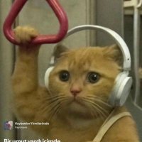 Sibel (@fufi987) 's Twitter Profile Photo Sibel (@fufi987) 's Twitter Profile Photo