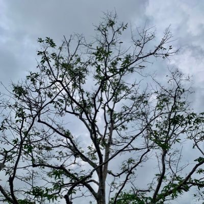 waiyanno's profile picture. 