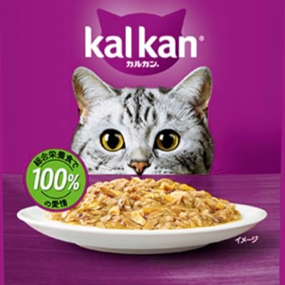 nekochulu's profile picture. 日本株でデイトレ・スキャルピング。後場寄り付きのみ。体重91kg42歳童貞。性欲の強さは雄としての誇り。