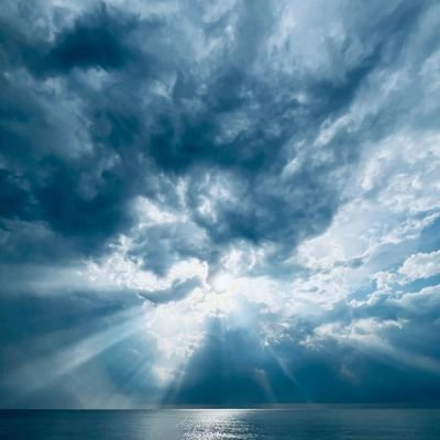 howlspremium's profile picture. Please let this be the final howls.