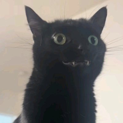 heksa!さんのプロフィール画像