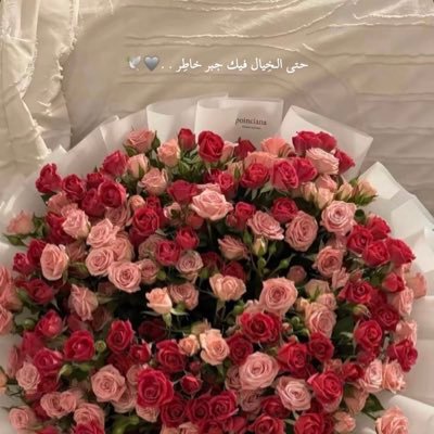 ماراح من دنيا الفنى بألف طقّاق العمر سلفه والاوادم طراقي