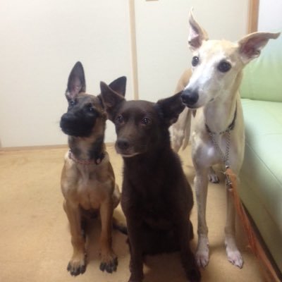 sugizo1116's profile picture. 