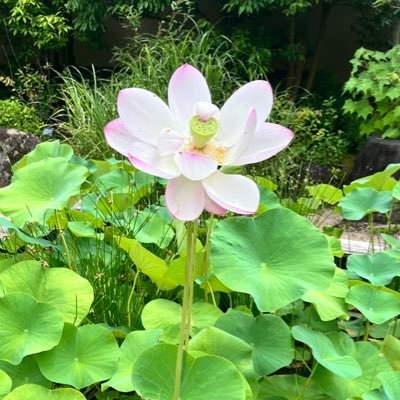 まくろさんのプロフィール画像