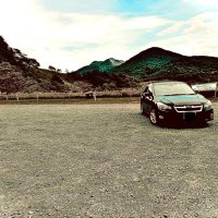 本多忠勝 (@299792458_ms_1) 's Twitter Profile
