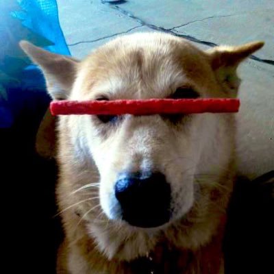 宮崎ハードコアパンクバンドやってます バンドの告知もしますが個人ツイートです いつでも自分の意思と言葉でツイートしてます 宮崎市内でバンドスタジオもやってるので興味ある人はDMでもください