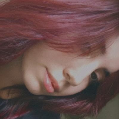 •hukuk