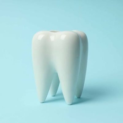 shigakubu4's profile picture. 国公立は諦めた