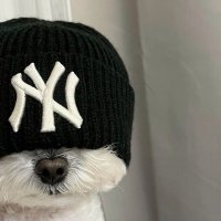 내식 (@naesik512) 's Twitter Profile Photo