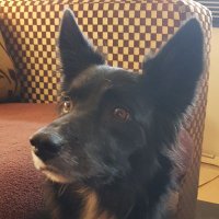 Doreen Wilson. 💗🇬🇧🦖 (@doreenw29498044) 's Twitter Profile Photo