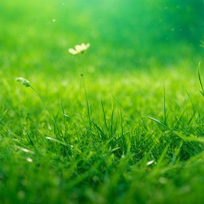 tôi làm cho mọi người giữ được tiền trong thị trường này, thậm chí nhân vài lần tiền đầu tư và bớt bị dắt bởi bọn kols lỏ ngu dốt