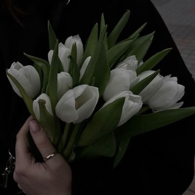 skyvibes0901's profile picture. 