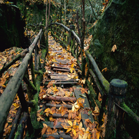 GabrielSul1663's profile picture. Extroverted And Proactive. Love acting, antique hunting, animation, party hosting. Pursuing Sports Medicine.