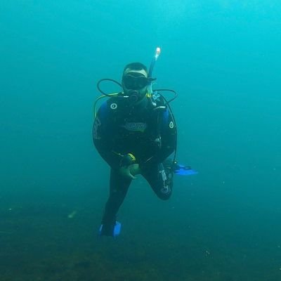 miikeltxo's profile picture. 📸🤿🦉⛰️