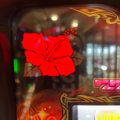 愛知県名古屋市在中、ハナハナ大好き🌺ONEACE推し❤️他は興味無しリプしないので🤭小吉さん、ペリちゃん、大吉さん、ゆうきサン 趣味🚗、👔、✈️、🥣