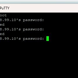 PolitzerZipfin's profile picture. 