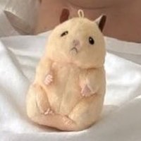 타코 (@tayakokki) 's Twitter Profile