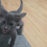 E (@yoolucid) 's Twitter Profile