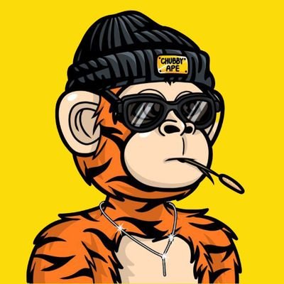 skyboydynasty's profile picture. Forex Trader | Web3 | Crypto | Content writer | I belong to  @solflare community | Member of  @superteamNG