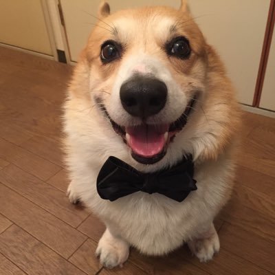 Ooochie Koochie 、k2 無言いいね フォロー 勝手にしちゃいますがお許しください。いろいろな方のk2情報を知りたくX内を散歩してます。すいません🙇 ただ イマイチXのやり方 理解してません。あしからず。