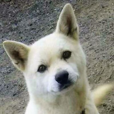 satopla26's profile picture. 50代のモデラー。
30年ぶりに作成再開。
バイクとカーモデル、合間に色々製作中。