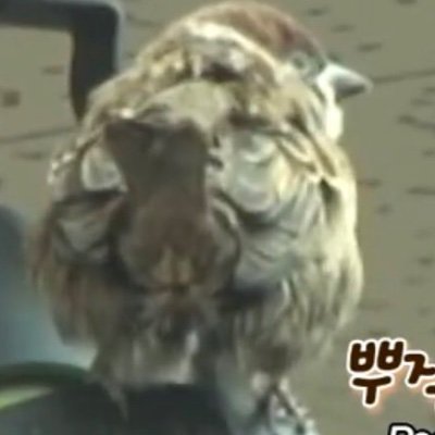 _533d's profile picture. @1_bakayarou