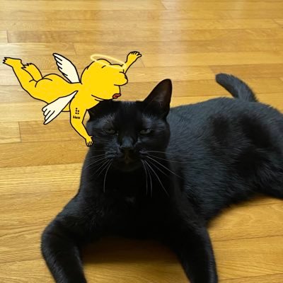 luise48307167's profile picture. @hypurliquid @avax @irys @sui