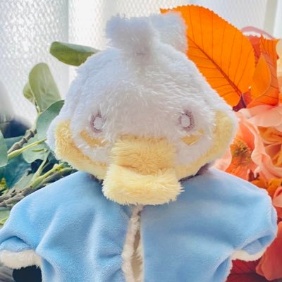 あめ@趣味 Profile