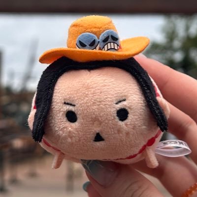 タッズです 🫡 I ❤️ ONE PIECE 🏴☠ エースとサンジがチュキ 🫶 ゴッドウソップ 🙏 USJファン 🌎 クロミライブ
