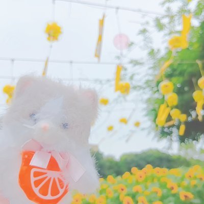 のろさんのプロフィール画像
