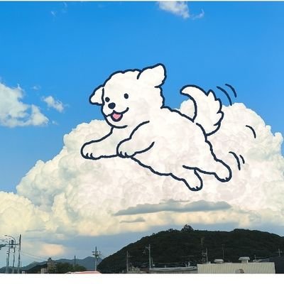 iRkpAnvb2219181's profile picture. 