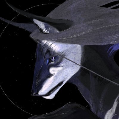 WILXOR Profile