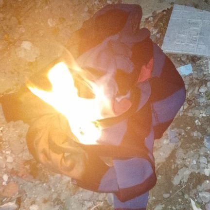 LuisSnc11079552's profile picture. 