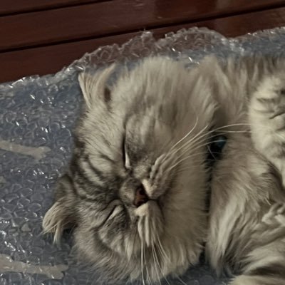 RosyRoseWinter's profile picture. นานๆทีจะเข้ามา 🙇‍♀️